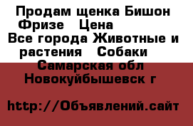 Продам щенка Бишон Фризе › Цена ­ 30 000 - Все города Животные и растения » Собаки   . Самарская обл.,Новокуйбышевск г.